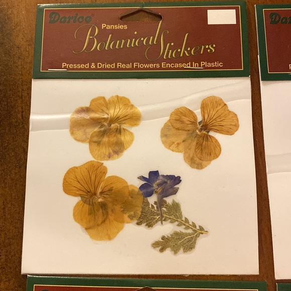 Darice botanical flowers 🌼🌿Pressed and dried real flowers! 🌼🌿 - Picture 2 of 6